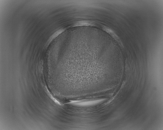 X0000079281233200612011650