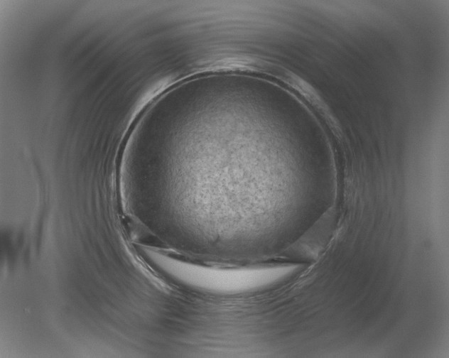 X0000079281234200612011650