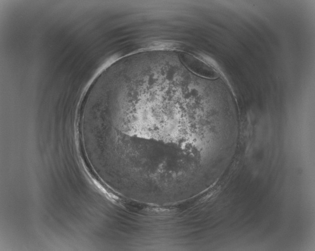 X0000079281235200612011650