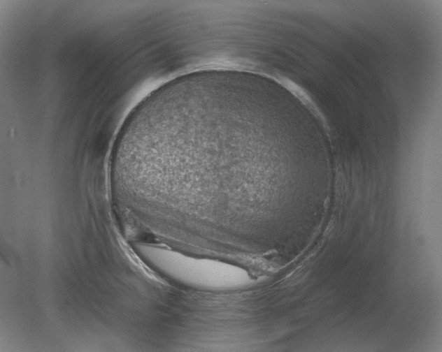 X0000079281238200612011650