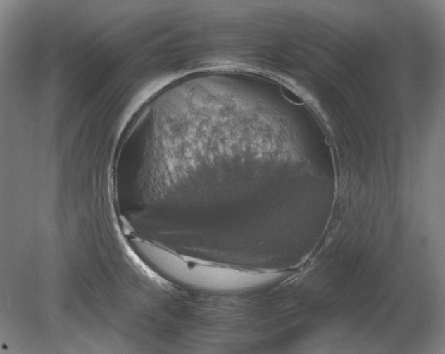 X0000079281239200612011650