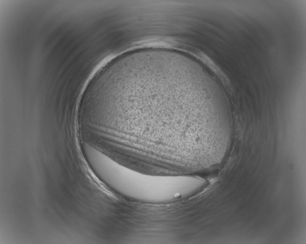 X0000079281240200612011650