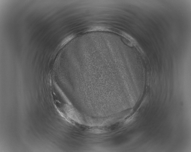 X0000079281241200612011650