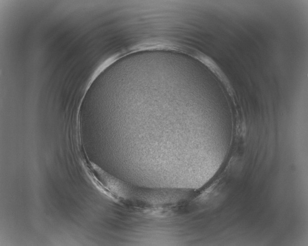 X0000079281242200612011650