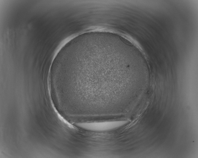 X0000079281247200612011650