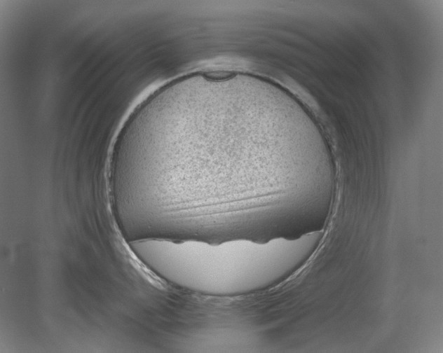 X0000079281248200612011650