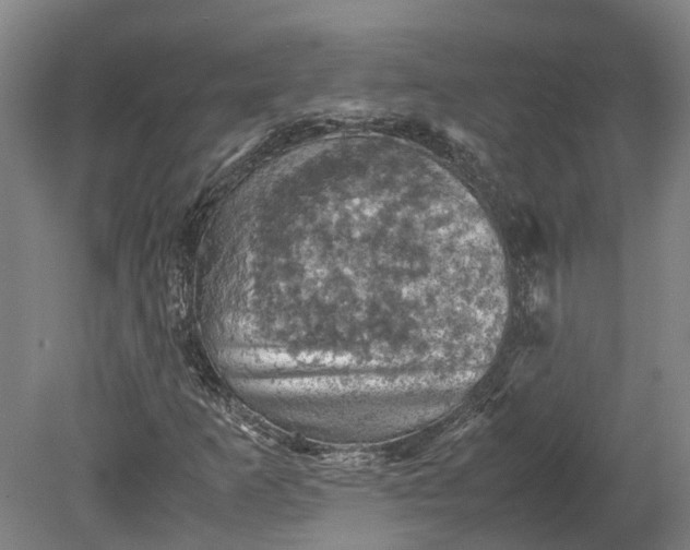 X0000079281253200612011649