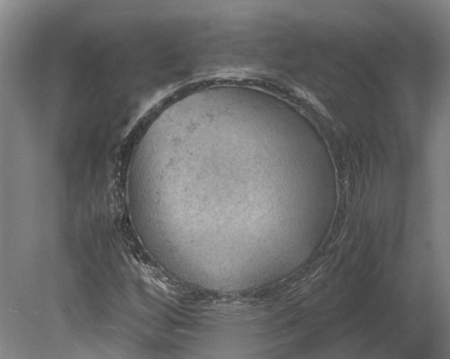 X0000079281256200612011649