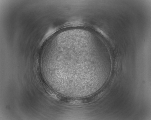 X0000079281261200612011649