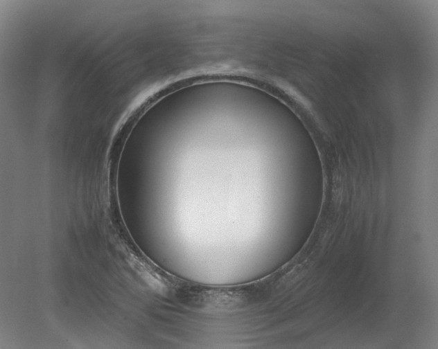 X0000079281270200612011649