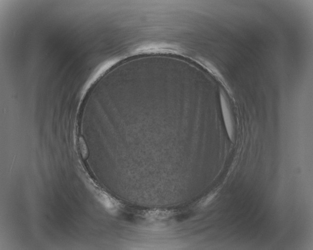 X0000079281277200612011649