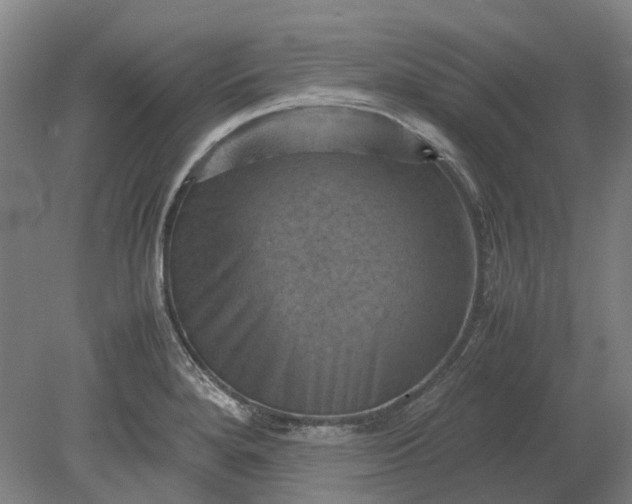 X0000079281280200612011649