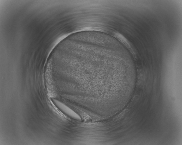 X0000079281284200612011648