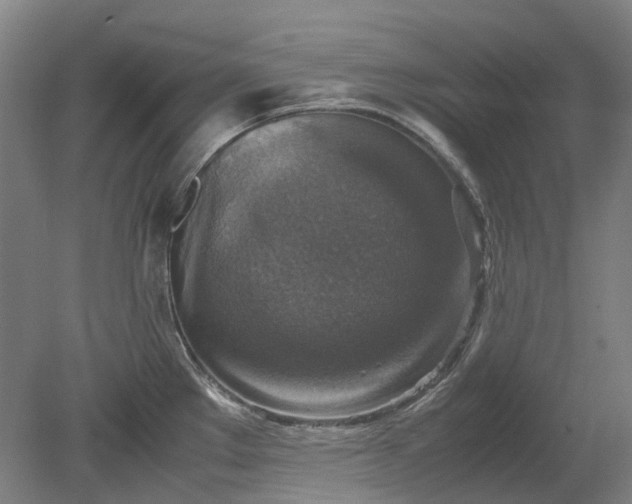 X0000079281289200612011648