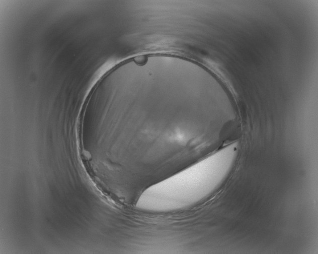 X0000079281291200612011648