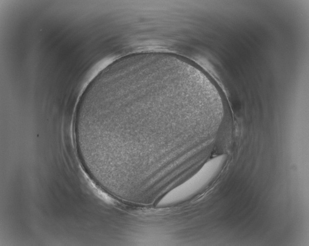 X0000079281293200612011648