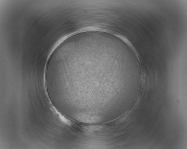 X0000079281294200612011648