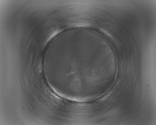 X0000079281306200612011648