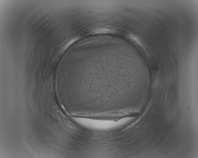 X0000079281313200612011648