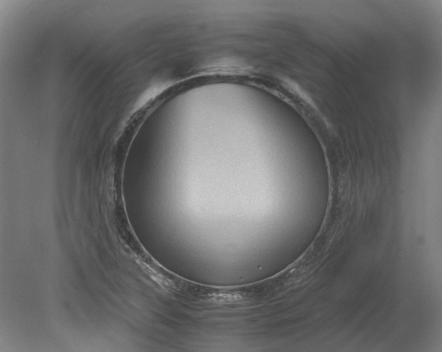 X0000079281315200612011648