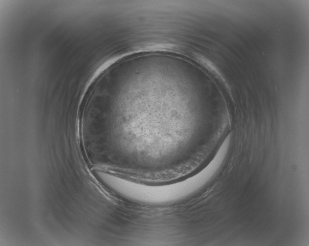 X0000079281324200612011648