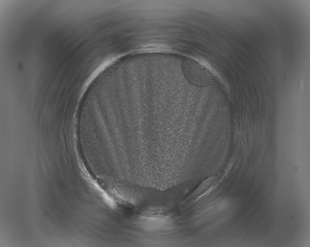 X0000079281325200612011648