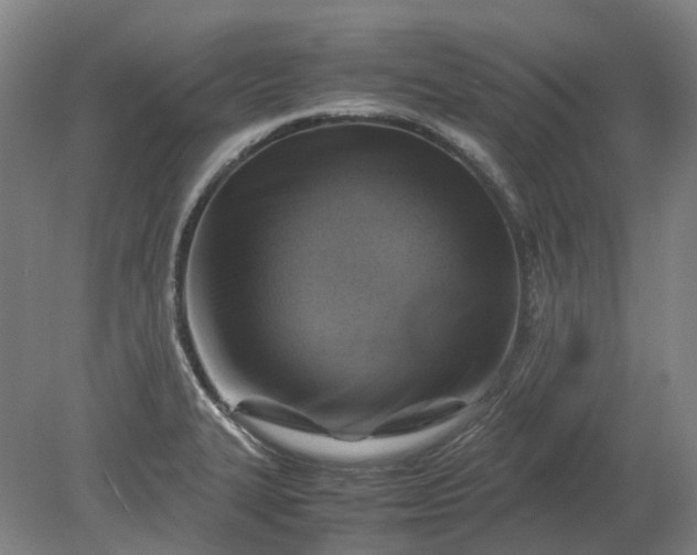 X0000079281327200612011648