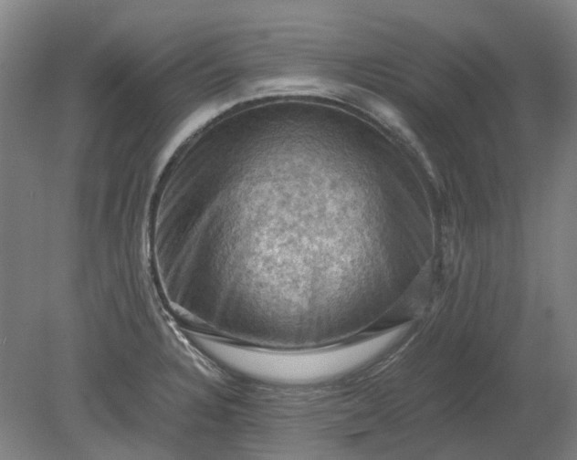 X0000079281328200612011648