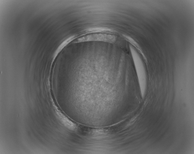 X0000079281330200612011648