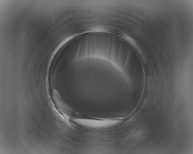 X0000079281331200612011648