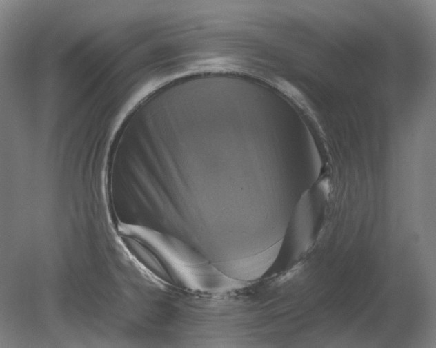 X0000079281334200612011648
