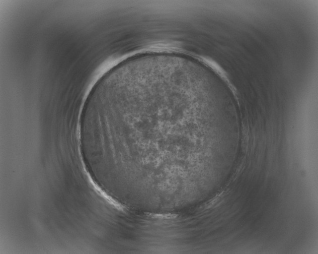 X0000079281335200612011648