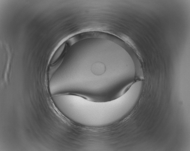 X0000079281340200612011648