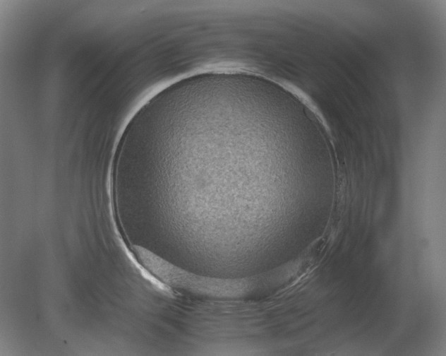X0000079281343200612011648