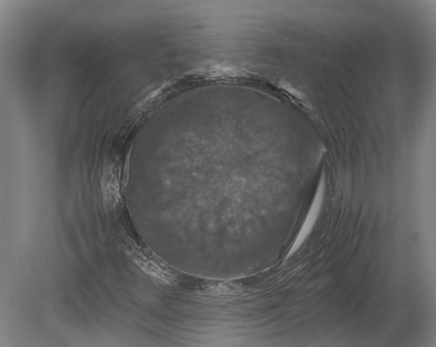 X0000079281348200612011647