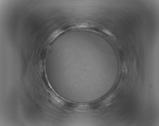 X0000079281353200612011647