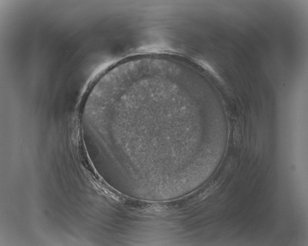 X0000079281358200612011647