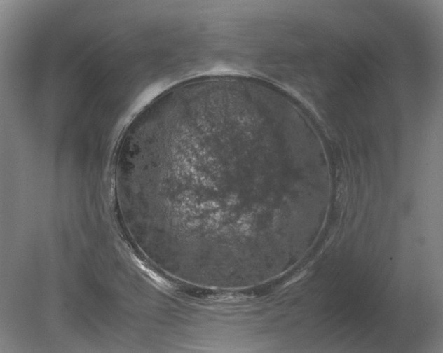 X0000079281367200612011647