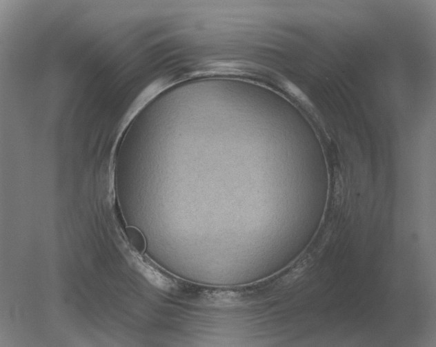 X0000079281370200612011647