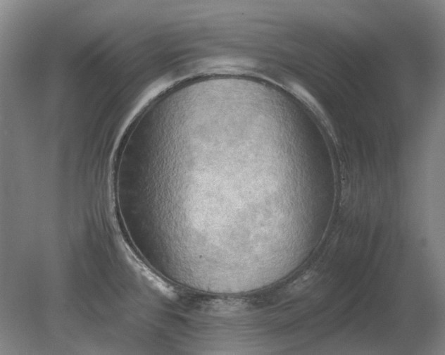 X0000079281384200612011647