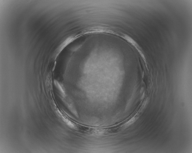 X0000079281385200612011647
