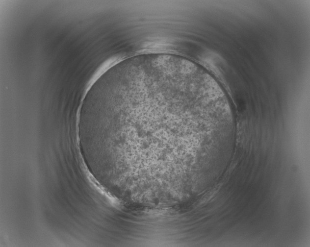 X0000079281386200612011647