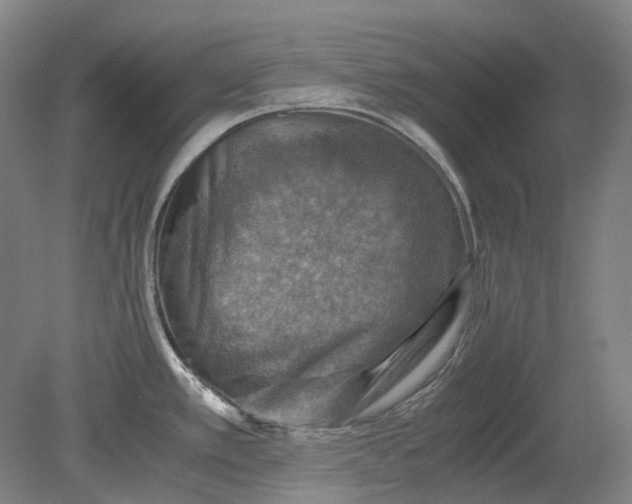 X0000079281389200612011647