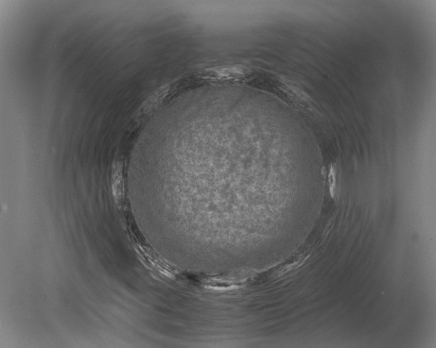 X0000079281395200612011646