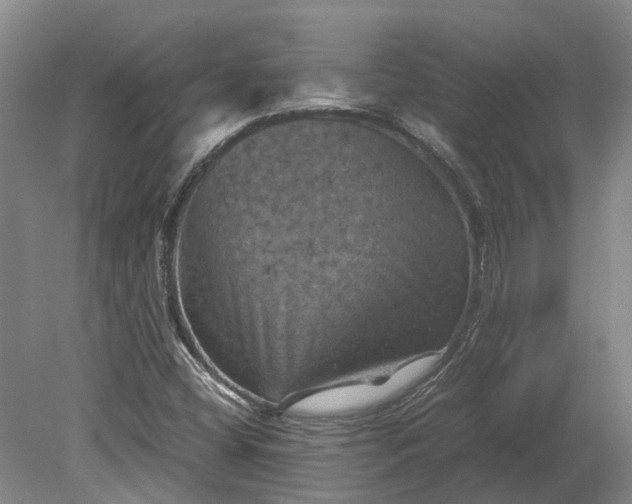 X0000079281404200612011646