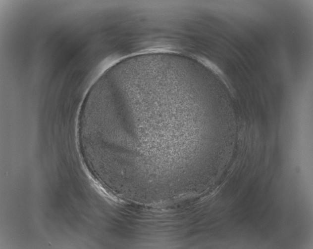 X0000079281423200612011646