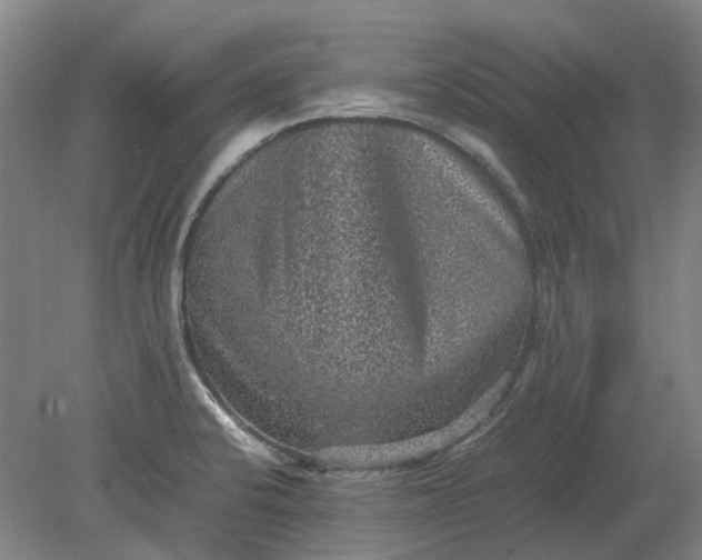 X0000079281424200612011646