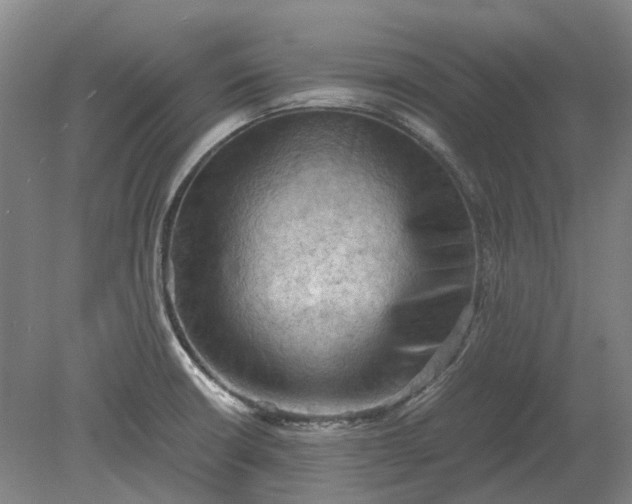 X0000079281426200612011646
