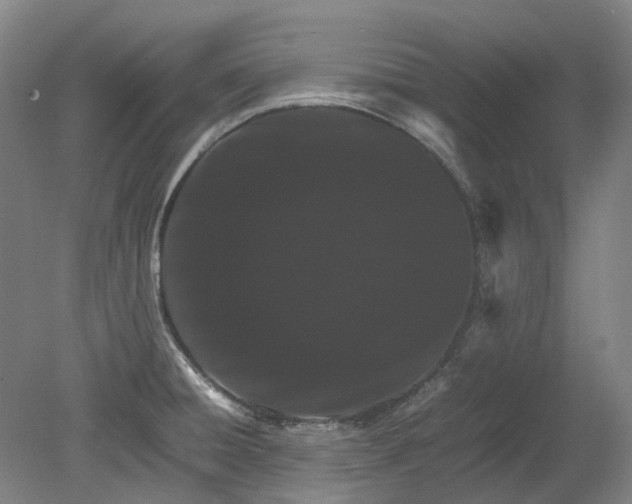 X0000079281428200612011646