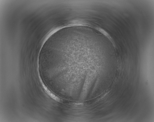 X0000079281431200612011646